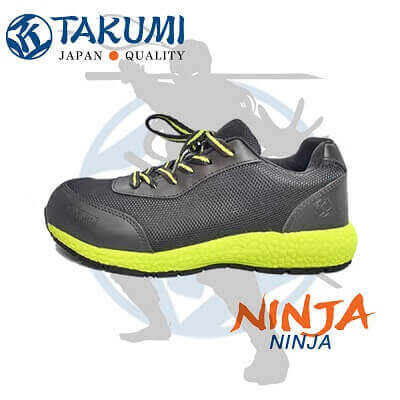 Ninja Main 3 400x400 1